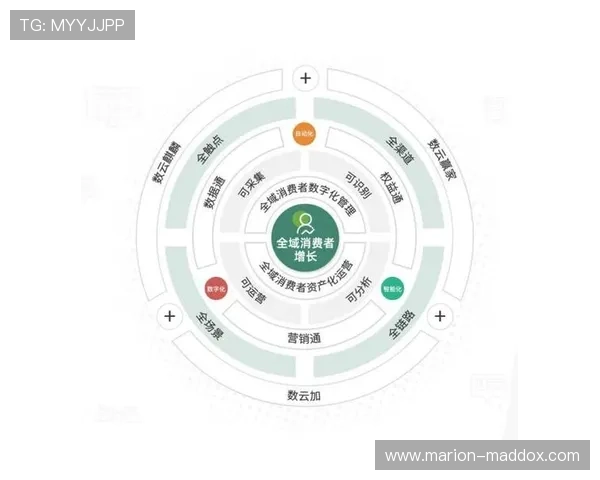 开云开户官方渠道全面解析，确保账号安全与资金保障的最佳选择指南