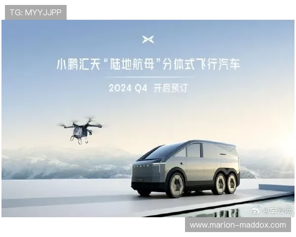 开云最新网址2024年最新官方入口安全稳定推荐指南