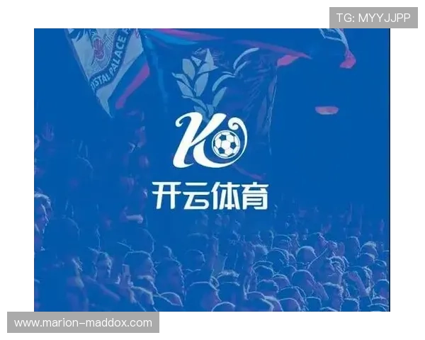 深入分析开云体育娱乐的市场策略与成功秘诀